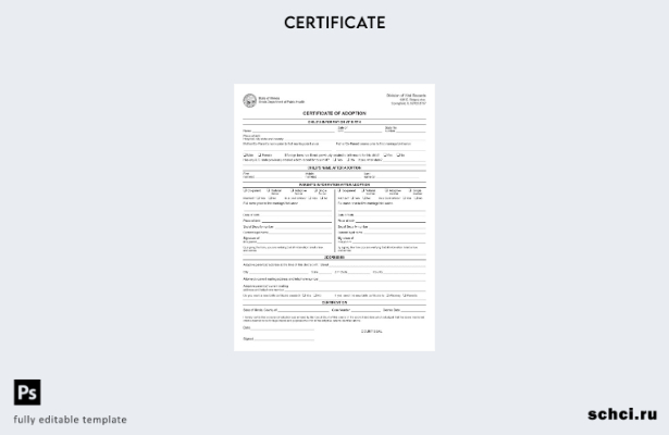цифровая загрузка шаблона сертификата об усыновлении Департамента общественного 